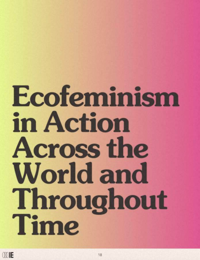Ecofeminism in action across the world and throughout time.