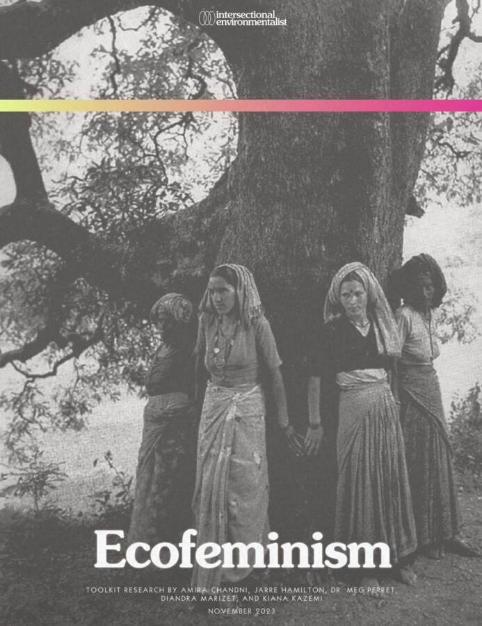Ecofeminism toolkit.